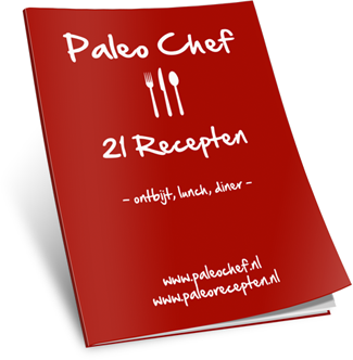 533acccc-paleo-chef-bonus 533acccc-paleo-chef-bonus