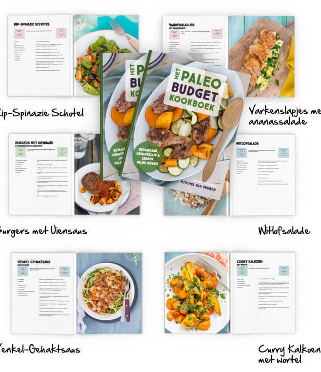 6034369a-sneak-peak-paleobudget_0jk0l60ia0l600n000 6034369a-sneak-peak-paleobudget_0jk0l60ia0l600n000