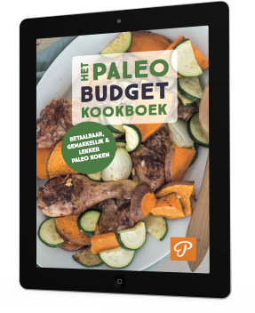 9ba39b8b-pbudget-ipad 9ba39b8b-pbudget-ipad