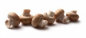 Schildklierhormonen reguleren met champignons